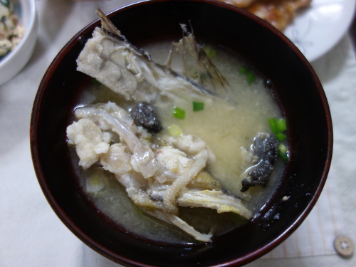 マゴチの粗の味噌汁