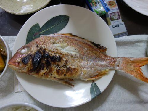 鯛の塩焼き
