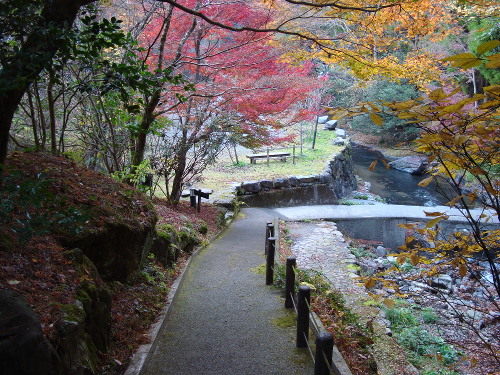 お宿華坊の紅葉