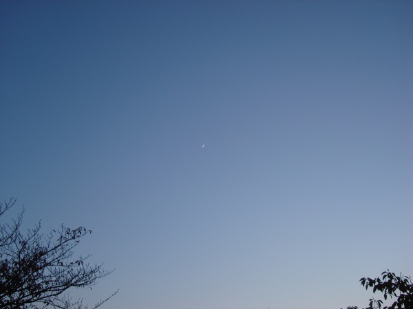 Moon in the Blue Sky