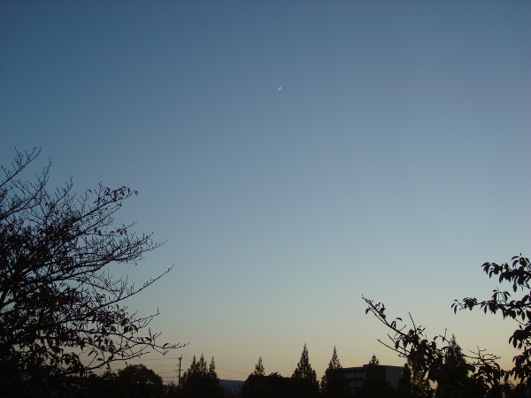 Moon in the Blue Sky