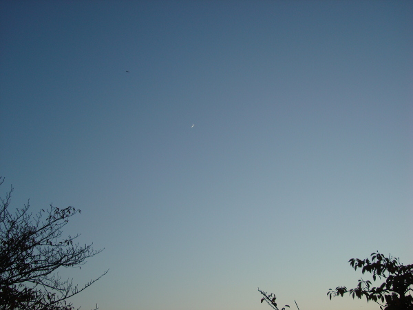 Moon in the Blue Sky