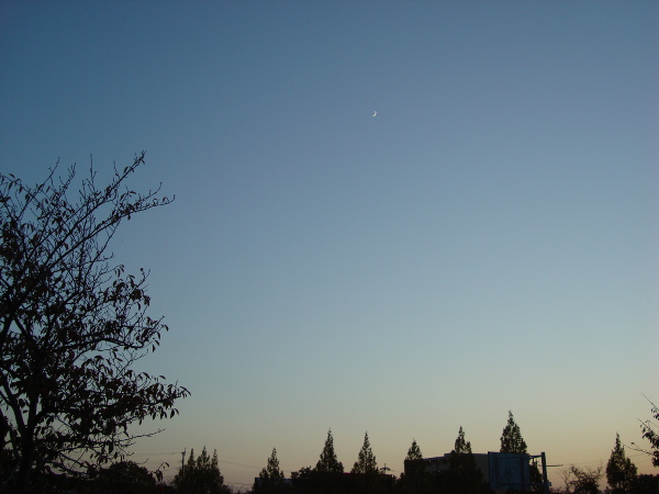 Moon in the Blue Sky