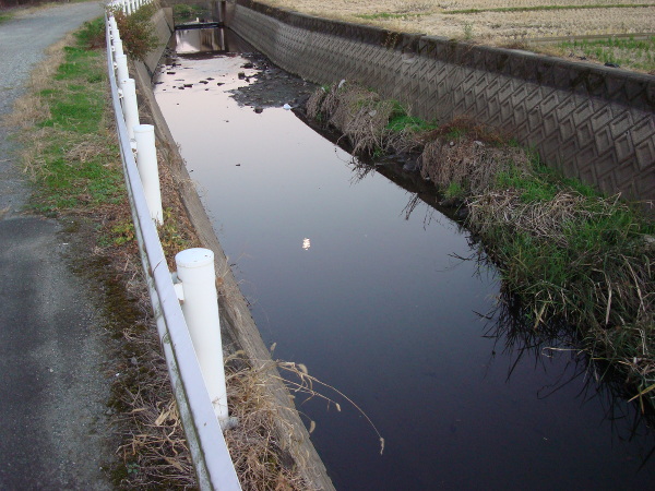 Moon reflected in a river