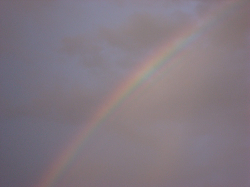 Rainbow