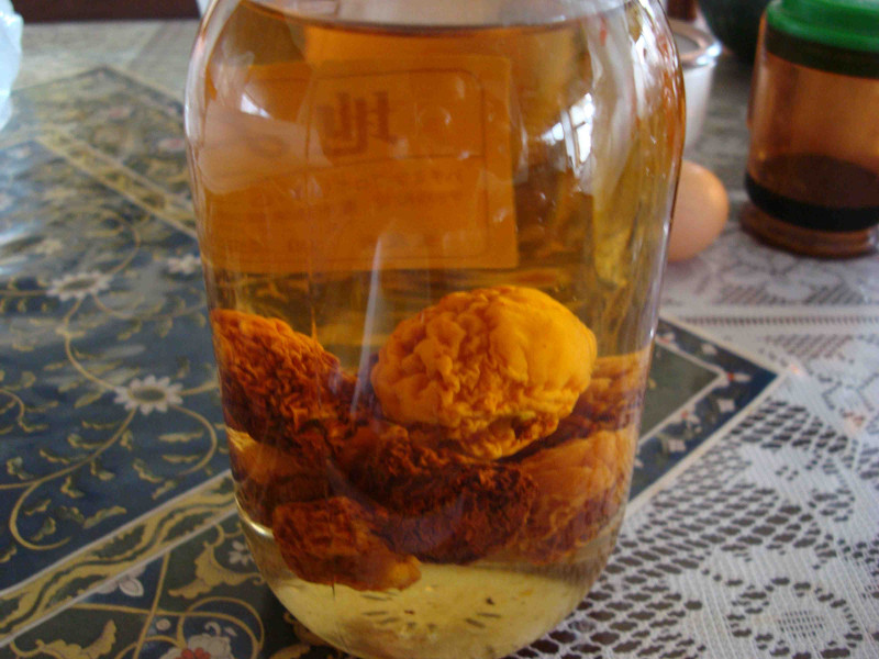 Apricot Liquor