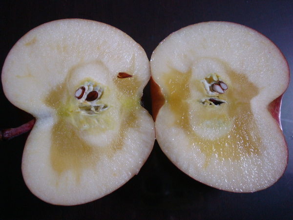 Color of calyx of Sun Fuji Apple