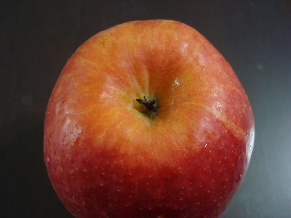 Color of calyx of Sun Fuji Apple