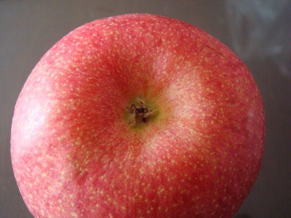 Color of calyx of Sun Fuji Apple
