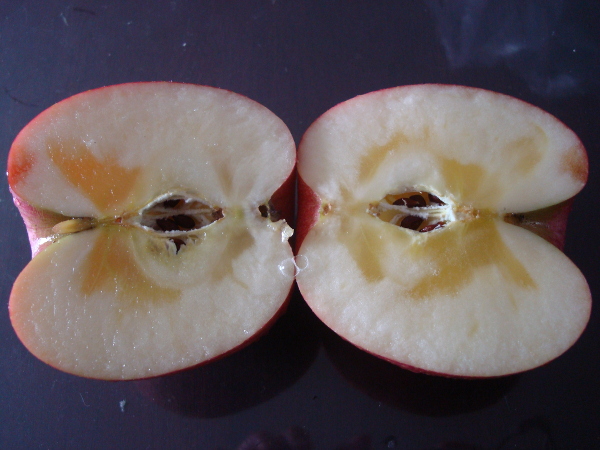 Color of calyx of Sun Fuji Apple