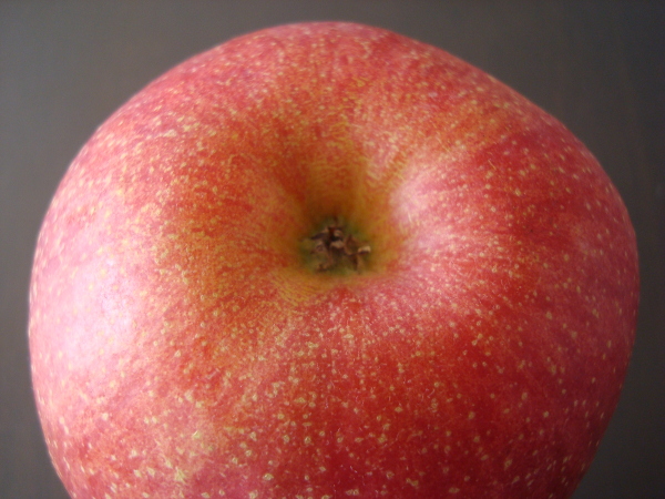 Color of calyx of Sun Fuji Apple