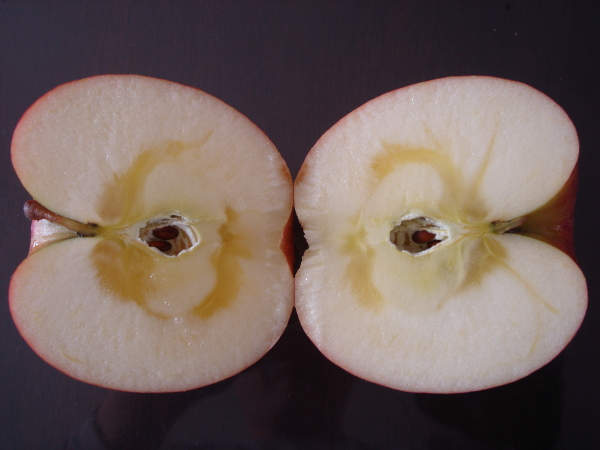 Color of calyx of Sun Fuji Apple