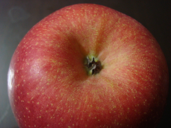 Color of calyx of Sun Fuji Apple