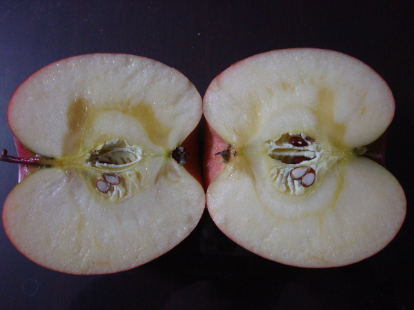 Color of calyx of Sun Fuji Apple