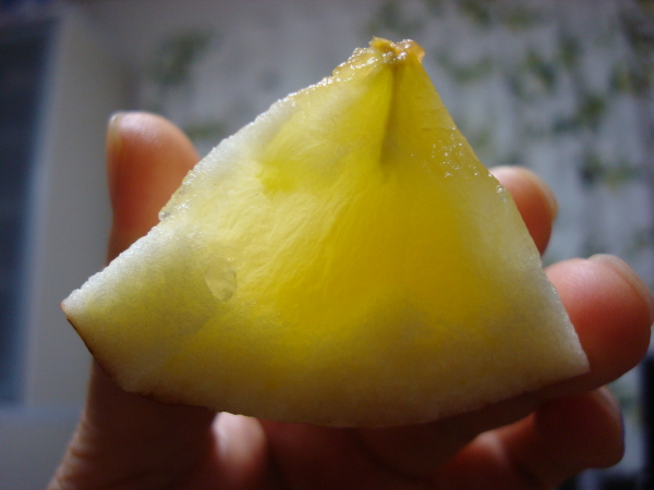 Color of calyx of Sun Fuji Apple