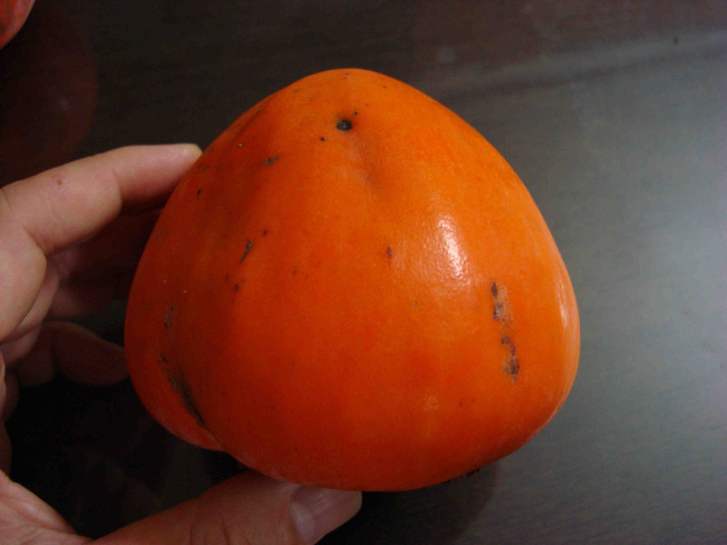 Fuji Persimmon