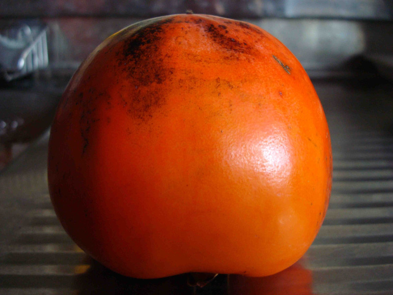 Fuji Persimmon