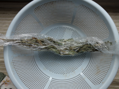 グァバの乾燥ハーブ