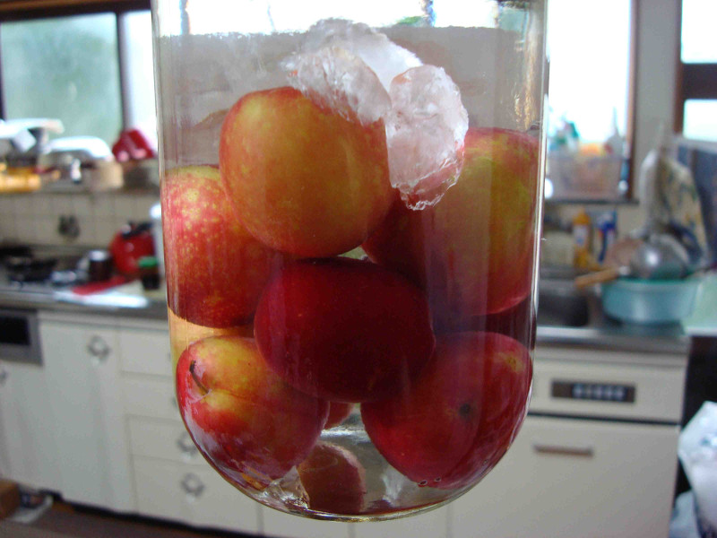 Japanese Plum Liquor