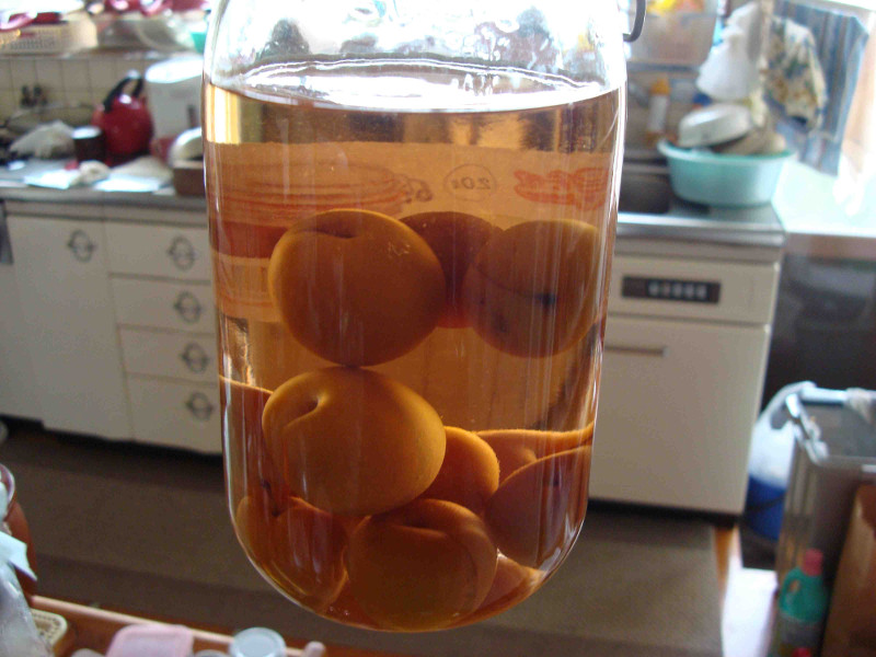 Japanese Plum Liquor