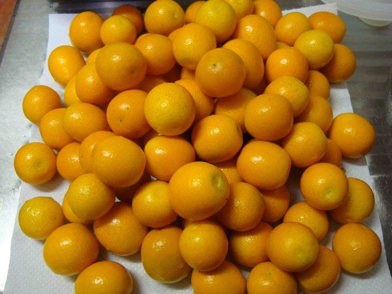 Kumquat Liquor