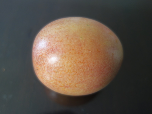 パッションフルーツの実