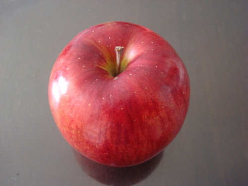 Sun Jonagold Apple
