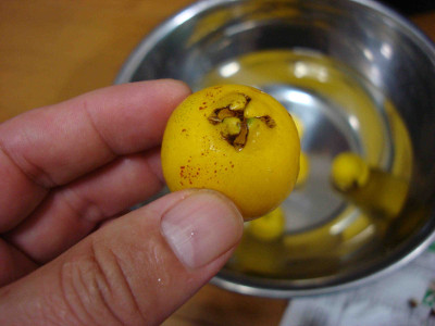 Yellow Strawberry Guava