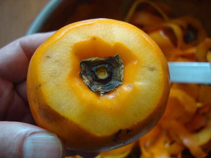 Hoshigaki without gynophore