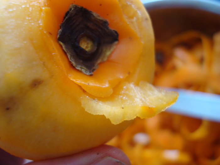 Hoshigaki without gynophore