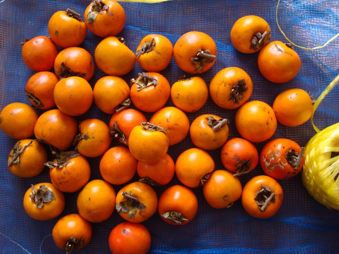 Hoshigaki of sour persimmon