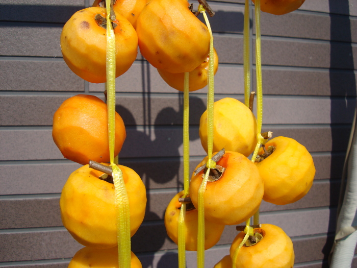 Hoshigaki of sour persimmon