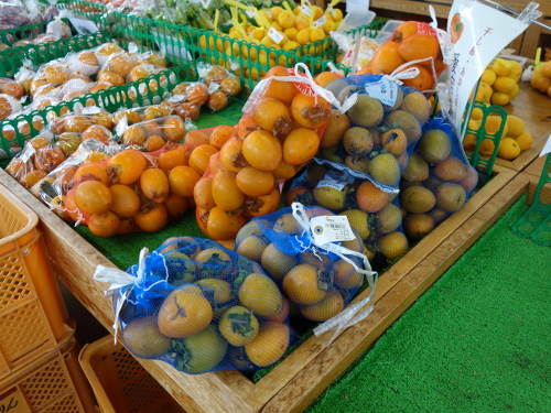 物産館に売ってある渋柿