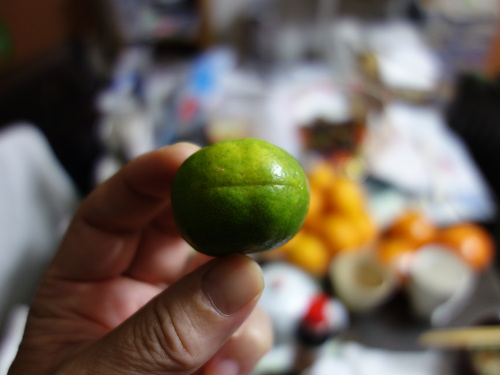 シークヮーサー