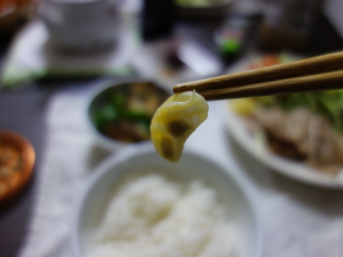 シークヮーサーの搾った内果皮と種