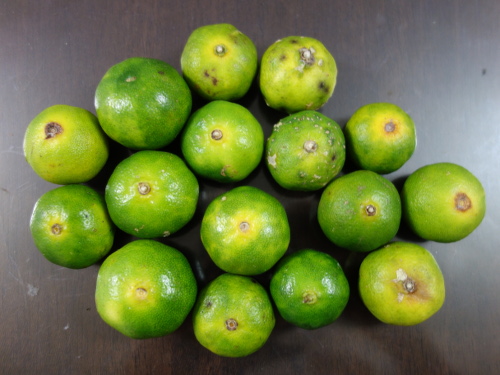 シークヮーサー