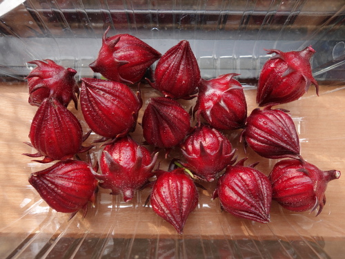 Hibiscus Cocktail Purple