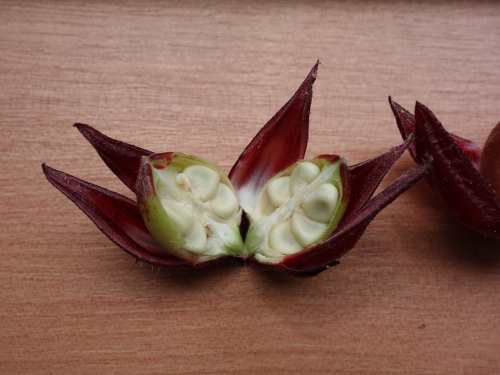 Hibiscus Cocktail Purple