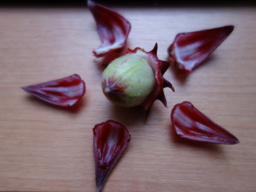 Hibiscus Cocktail Purple