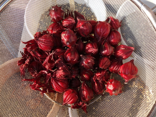 Hibiscus Cocktail Purple