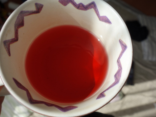 Hibiscus Cocktail Purple