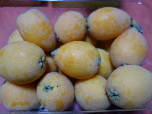 Loquat