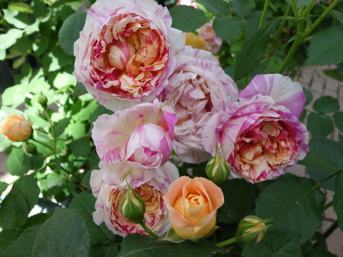 エドアール・マネ