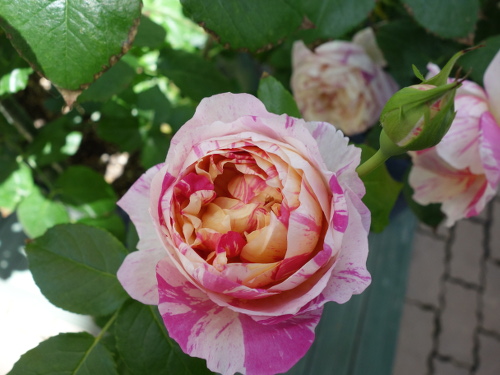 エドアール・マネ