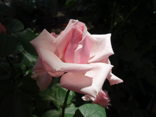 オードリー・ヘップバーン