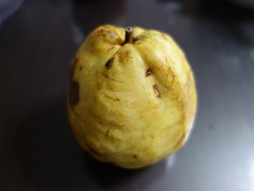 大きいグァバ（バンシルー）