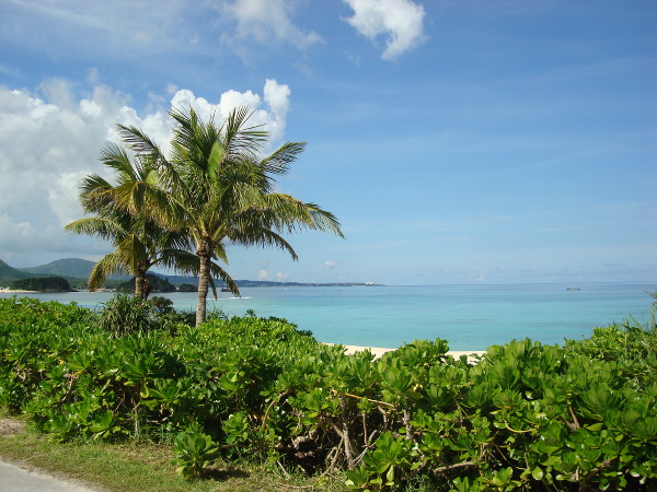 ザ・ブセナテラスの下の道から見た海