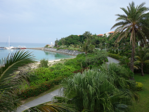 ラ・ティーダから見た下の道