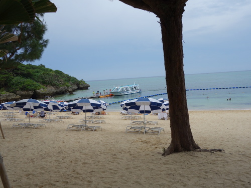 タイガービーチ