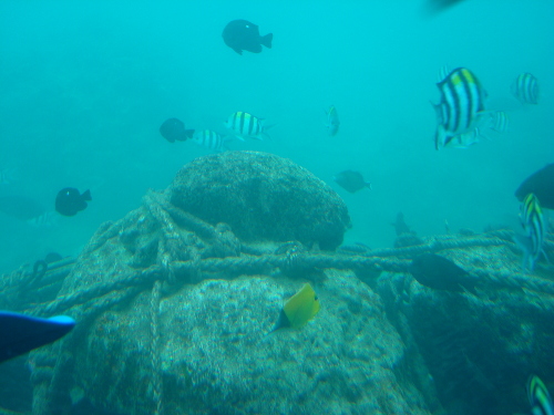 少し濁っている海